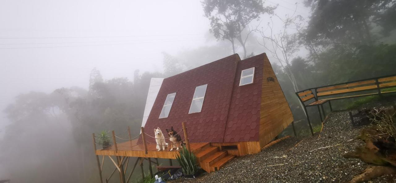 Glamping Gilma * Sevilla (Valle del Cauca)