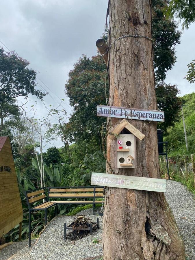 Campsite Glamping Gilma