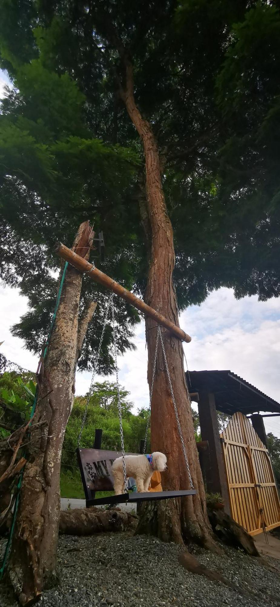 Campsite Glamping Gilma